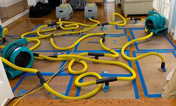 Professional Sewage Cleanup technician working in Wildwood, FL